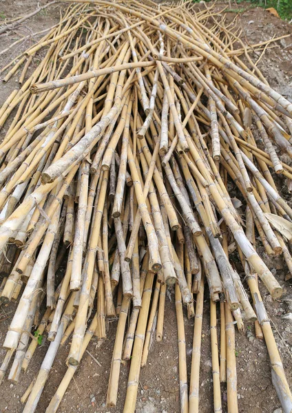 Купа бамбукових паличок, купа бамбукової абстрактної текстури тла — стокове фото