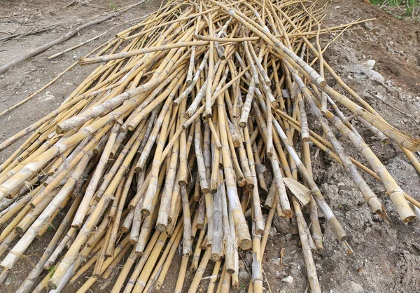 Hromadu bambusovými tyčinkami, hromadu bambus abstraktní pozadí textury — Stock fotografie