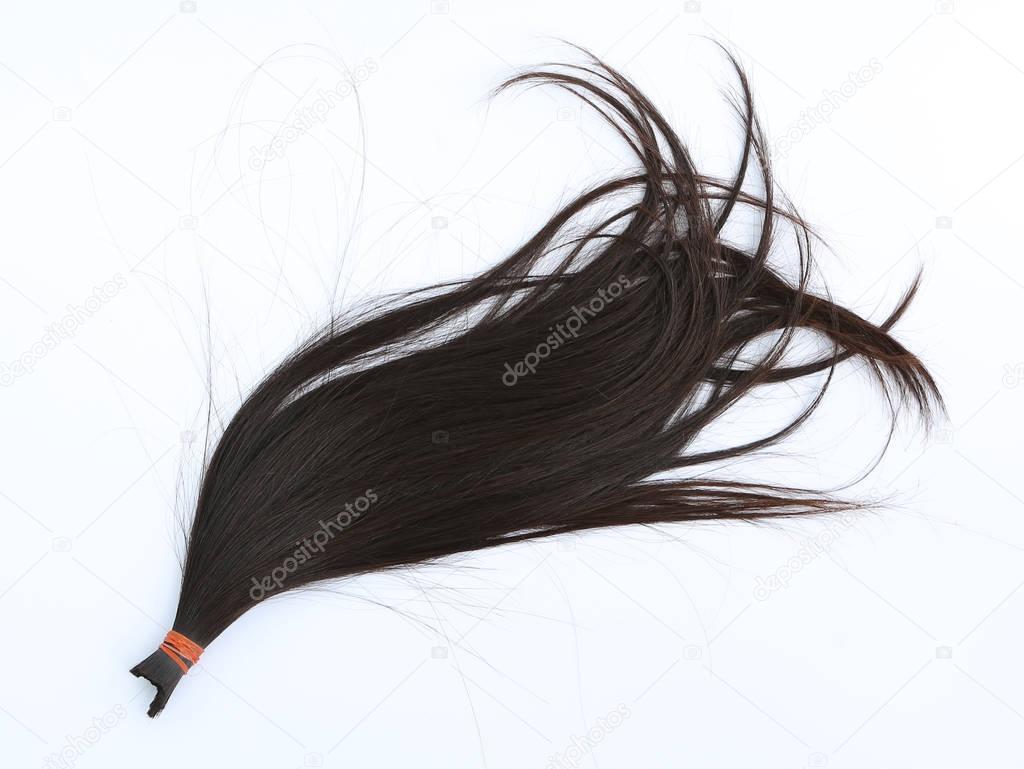 Donate hair to cancer patient isolated on white background, hairline