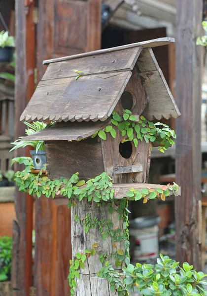 Casas de madera para pájaros cubiertas de hiedra — Foto de Stock