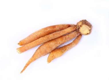 Beyaz arka plan üzerinde parmak kök Tay ot