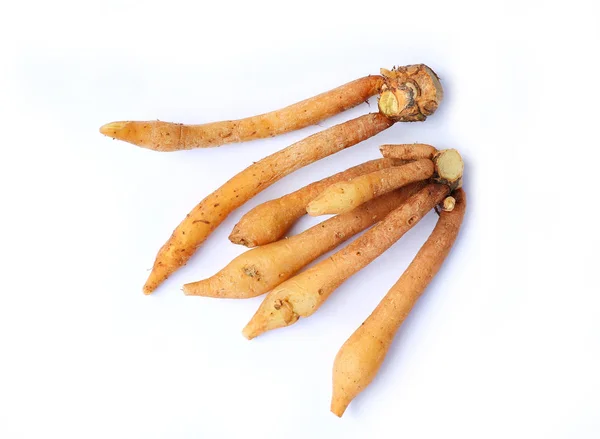 Finger корень тайская трава на белом фоне — стоковое фото