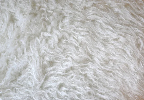 Άσπρο fur φόντο — Φωτογραφία Αρχείου