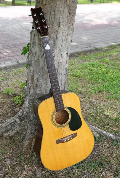 Klassisk gitarr lutad mot trädet i naturen — Stockfoto