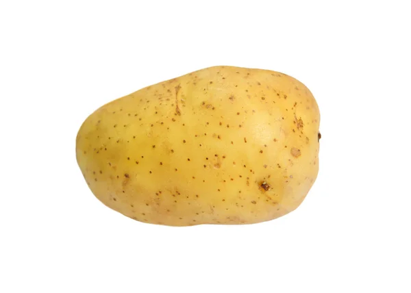 흰 위에 따로 있는 감자 — 스톡 사진
