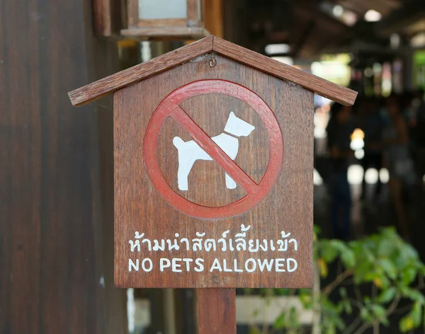Animais de estimação não permitidos na etiqueta de madeira — Fotografia de Stock
