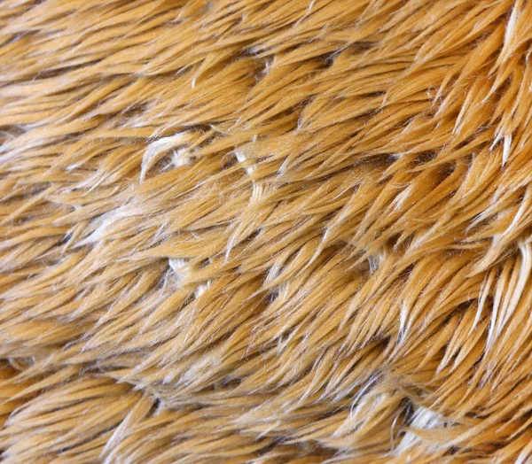 Closeup doll Fur background — Stock Photo, Image