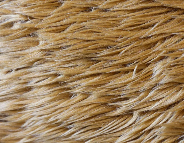 Closeup doll Fur background — Stock Photo, Image