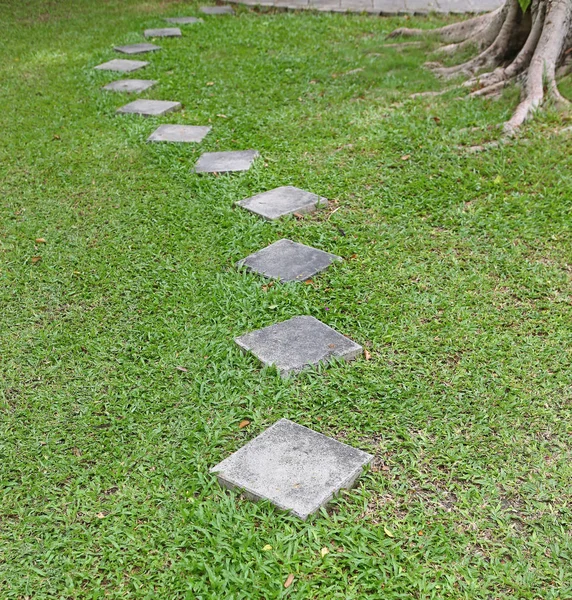 Camino de piedra en el jardín, Jardín decorativo — Foto de Stock