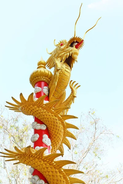 Dragón de oro en palo contra árbol y cielo —  Fotos de Stock