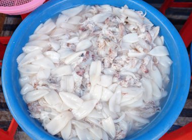 Büyük emaye kase taze kalamar