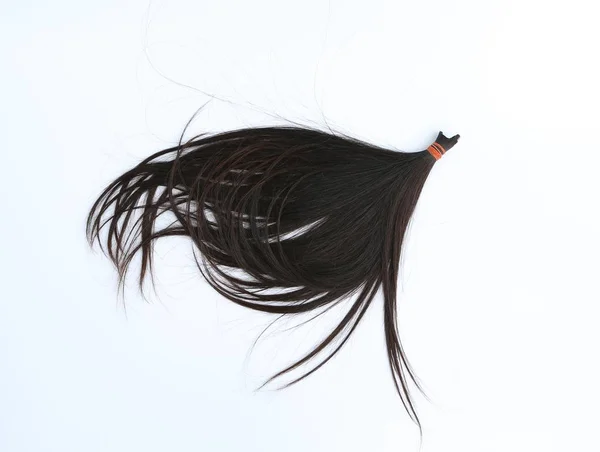 Doar cabelo para paciente com câncer isolado em fundo branco, linha do cabelo — Fotografia de Stock