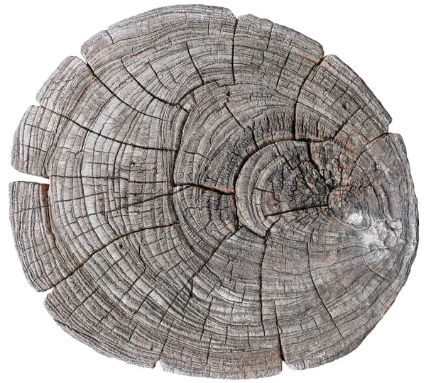 Верхний вид текстуры пня дерева изолирован на белом — стоковое фото