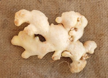 kahverengi çuval özgeçmişlerine zencefil