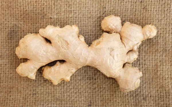 Ginger on brown sack background — Stock Photo, Image