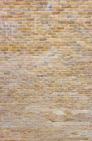 Brick wall background texture in shallow depth of field — Stock Photo, Image