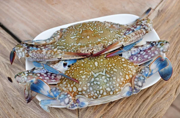 Frische Pferdekrabbe auf weißem Teller — Stockfoto