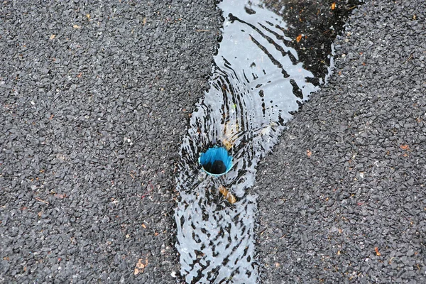 물 배수 아스팔트 커버 아래로 흐르는 — 스톡 사진