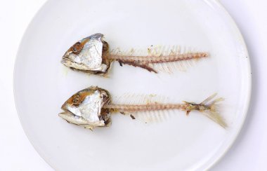 Fishbone beyaz plaka üzerinde kızarmış uskumru