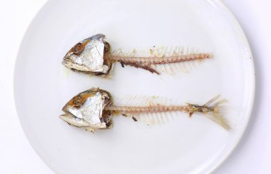 Fishbone of Mackerel fried on white plate clipart