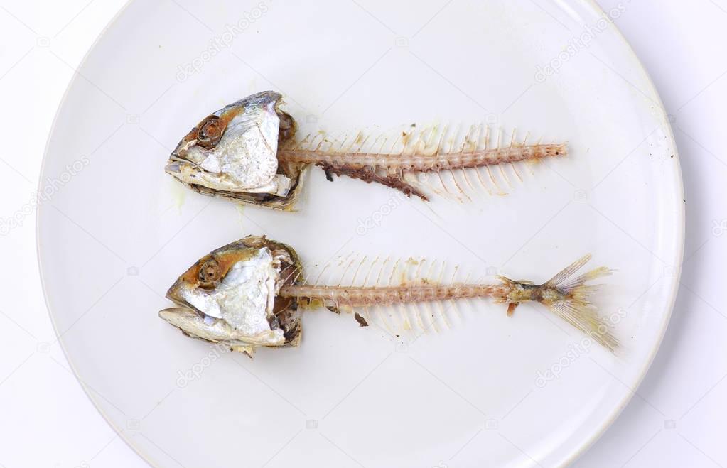 Fishbone of Mackerel fried on white plate