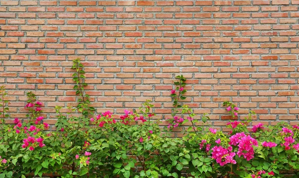 Brick wall background with flower in pot