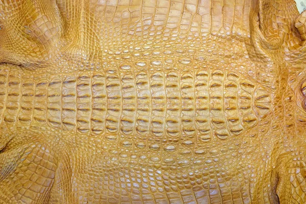 Timsah derisi dokusu