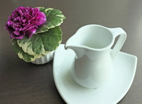 Jarro de cerâmica de leite fresco e vaso — Fotografia de Stock