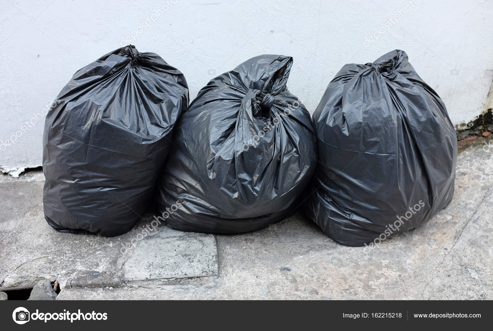 Trash Can With Black Plastic Bag And Green Cut Tree Branches Stock Photo -  Download Image Now - iStock