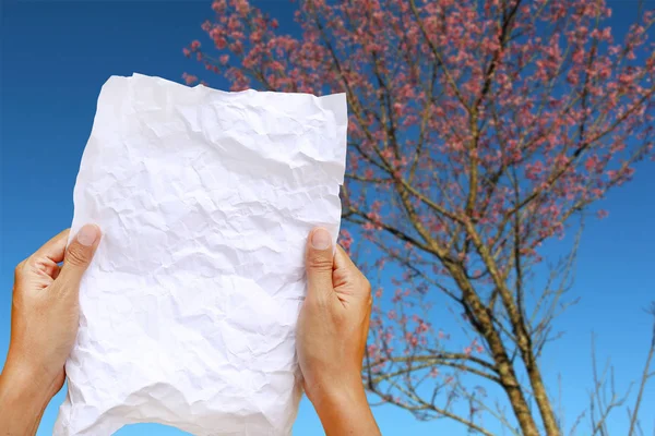 Manos de mujer sosteniendo papel cuadrado arrugado contra el fondo desenfoque del árbol de sakura y el cielo azul claro . — Foto de Stock