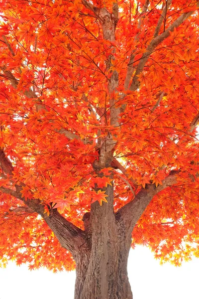 Árbol de arce artificial y hojas — Foto de Stock