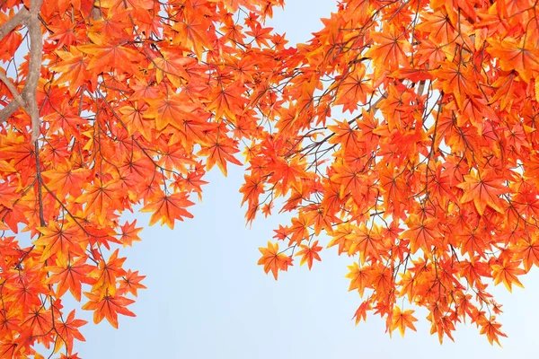 Artificial maple branch and leaves