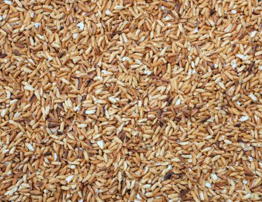 kavrulmuş pirinç arka plan (pirinç için yoğurmak baharatlı kıyılmış et salatası)