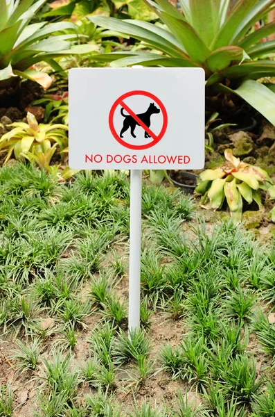 No dog allowed sign in the garden