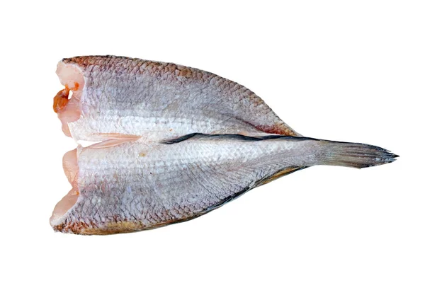 Soltorkade orm huvud fisk isolerad på vit bakgrund — Stockfoto