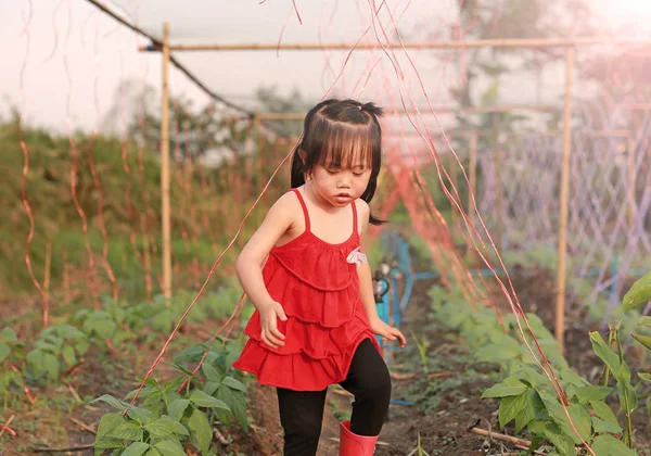 Küçük kız bir sebze bahçesi ile yürüyüş