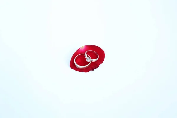 Wedding rings on petals of red rose with copy space against white background. — Stock Photo, Image