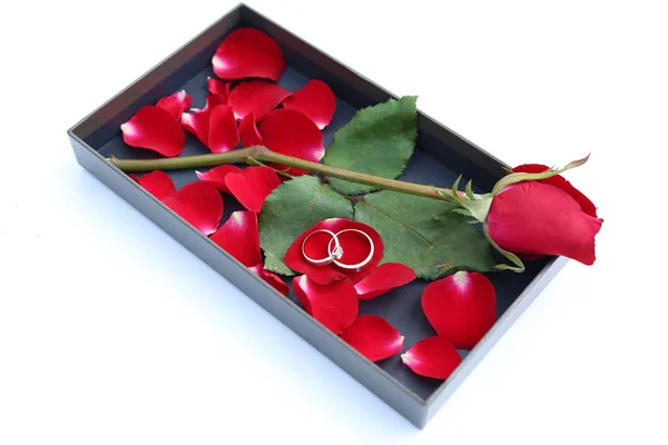 Обручки на пелюстках червоної троянди в розкішній шкіряній коробці . — стокове фото
