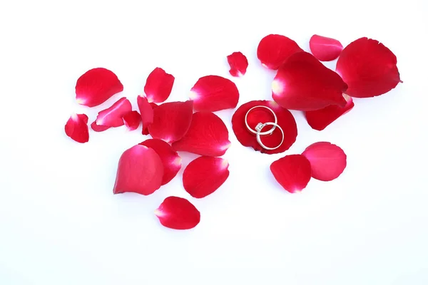 結婚指輪と白地に真っ赤なバラの花びらを抽象 — ストック写真