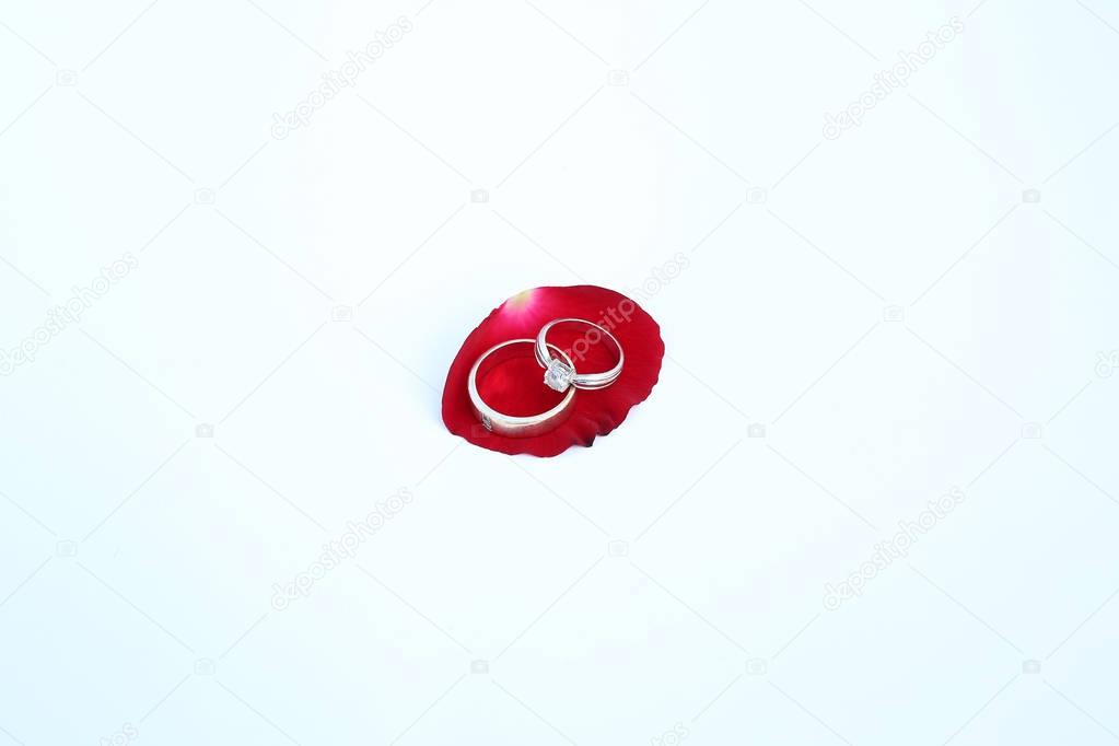 Wedding rings on petals of red rose with copy space against white background.