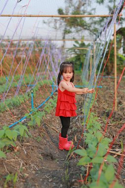 Küçük kız bir sebze bahçesi ile yürüyüş