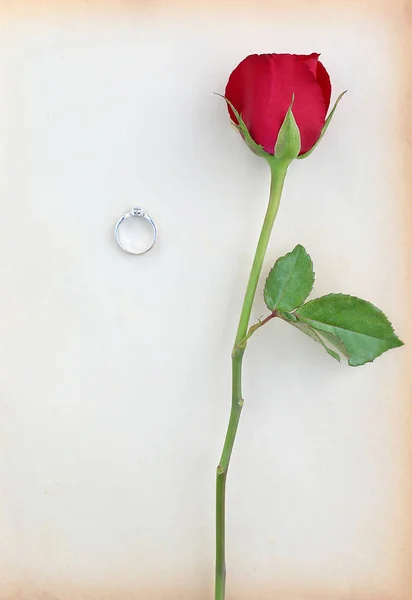 Rote Rosen Blume mit Trauring auf altem braunem Papier vor weißem Hintergrund. — Stockfoto