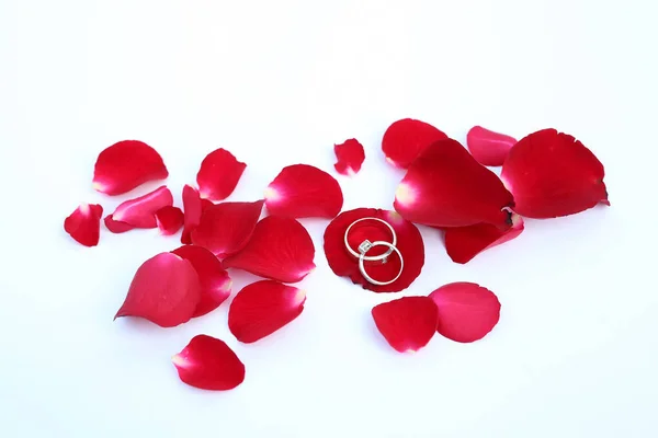 Streszczenie płatki czerwonych róż z obrączki na białym tle — Zdjęcie stockowe
