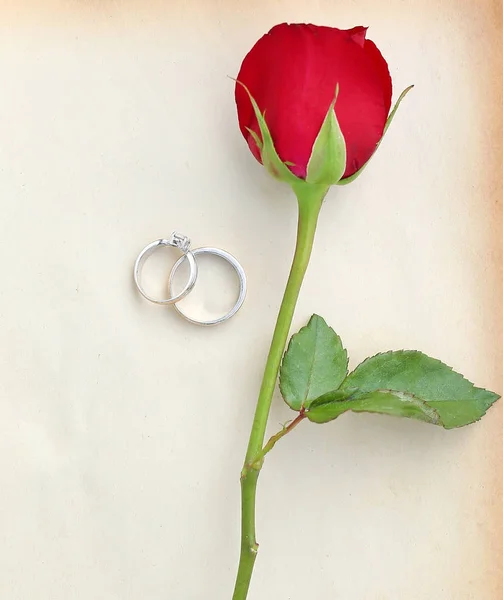 Flor de rosas rojas con anillo de boda sobre papel marrón viejo sobre fondo blanco . —  Fotos de Stock