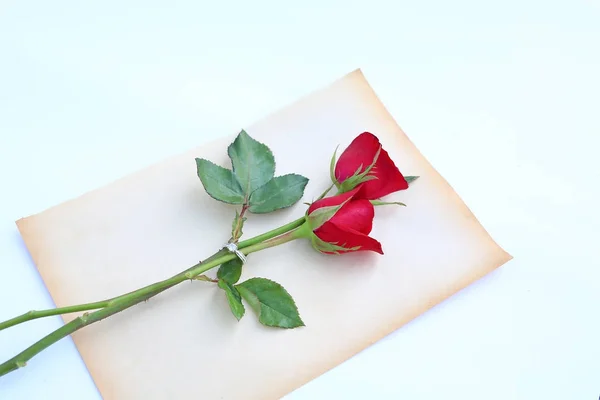 Flor de rosas vermelhas com anel de casamento em papel marrom velho contra fundo branco . — Fotografia de Stock