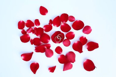 Beyaz zemin üzerine kırmızı gül alyans ile soyut yaprakları
