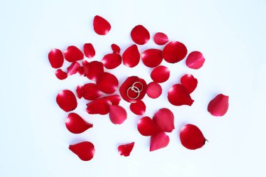 Beyaz zemin üzerine kırmızı gül alyans ile soyut yaprakları