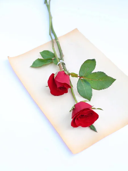 Красные Розы Цветок Обручальным Кольцом Старой Коричневой Бумаге Белом Фоне — стоковое фото