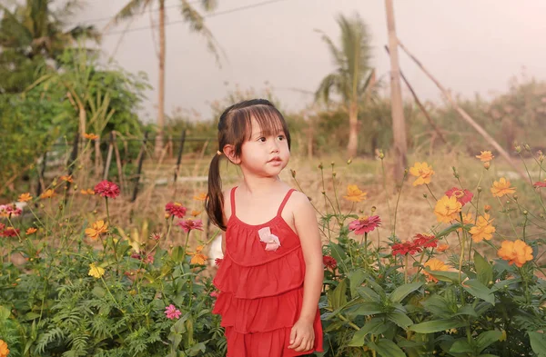 カラフルな花に対して立っている愛らしい小さなアジアの女の子 — ストック写真