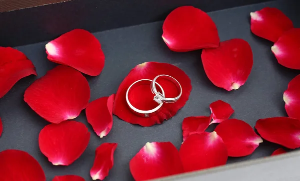 Anéis Casamento Pétalas Rosa Vermelha Caixa Couro Luxo — Fotografia de Stock